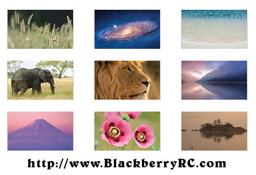 Mac OS X Lion wallpapers for blackberry playbook