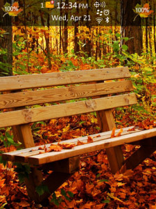 Autumn Forest os6.0 Theme for BlackBerry Torch 98