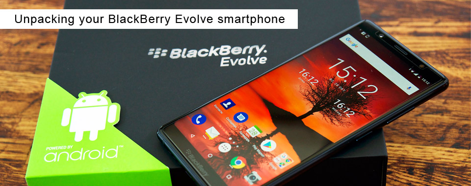 <b>Unpacking your BlackBerry Evolve smartphone</b>