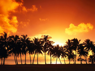 <b>Sunset beach wallpapers</b>