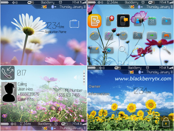 <b>Sun flowers for blackberry 8900 themes</b>