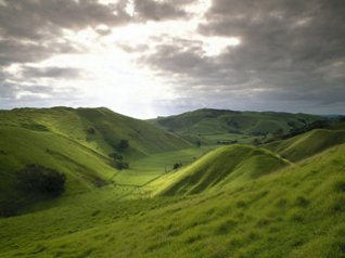 New Zealand Landscape