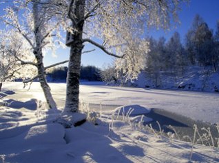 Accumulated Snow