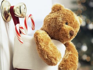 Teddy Bear in Chirstmas