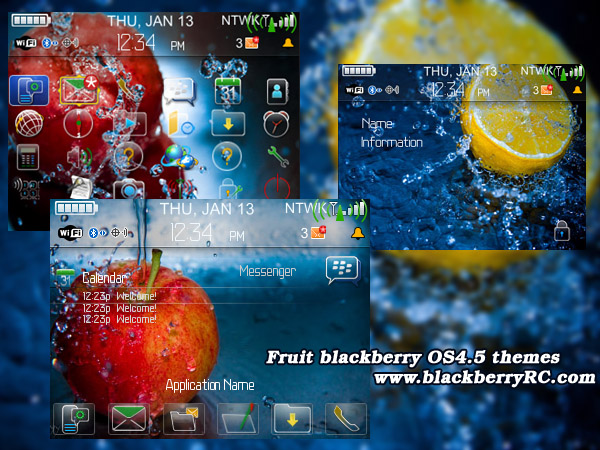 Fruit blackberry free 8800 curve themes