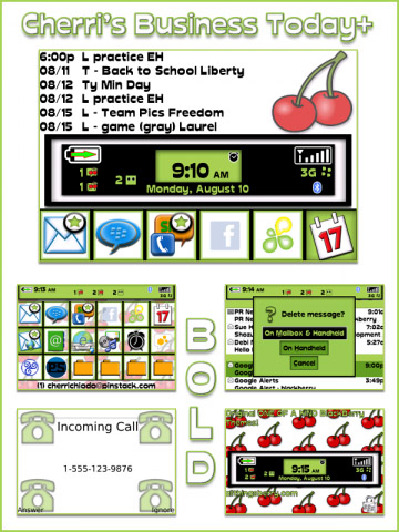 <b>Cherri's Business today+ Bold 9000 Themes</b>