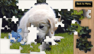 Jigsaw Puzzle v1.4.0