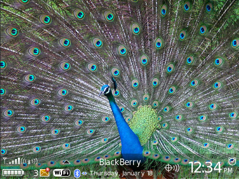 <b>Peacock for 89,96,9700 themes</b>