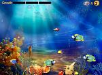 <b>Fish Kindom for 9500 storm games</b>