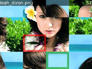 Puzzle Pictures for blackberry 8xxx games