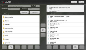 LiteFTP v1.1.0.12