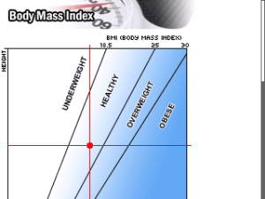 GI and Calorie Counter