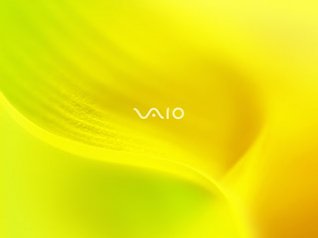 vaio 320x240 wallpapers