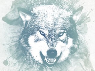 <b>white wolf wallpapers for blackberry storm</b>