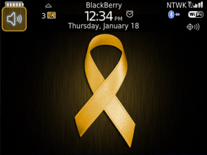 <b>Gold Ribbon (Child Cancer) PREMIUM Theme</b>