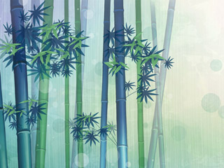 Digital Bamboo for 9105, 9780, 9800 wallpapers
