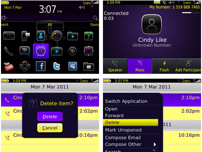 Free BlackBerry Curve 3G 9300 Themes.