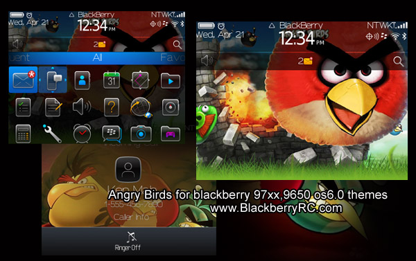 free Angry Birds for blackberry 9780,9700,9650 os6.0 themes