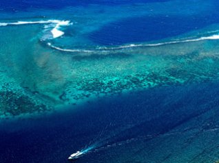 Tahiti Coral island