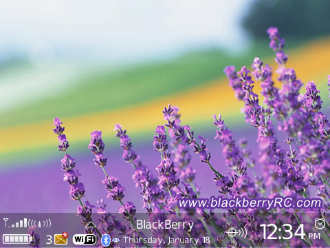 Lavender for bb curve 8900 themes os4.6.1