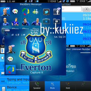 Everton bold themes for blackberry 9780,9650,9700