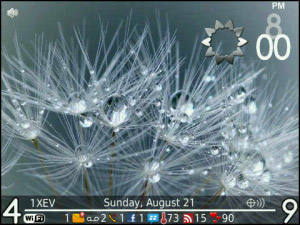 ENTWINED v1.0.0 for blackberry theme(os5.0+)