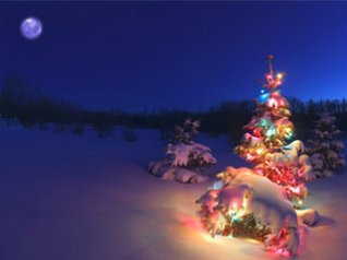 christmas night background for 360x480