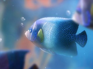 3D fish for blackberry wallpaper