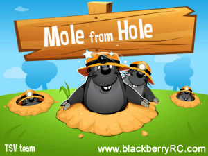 Mole from Hole v1.0.2 for 83,85,88,93xx games(320