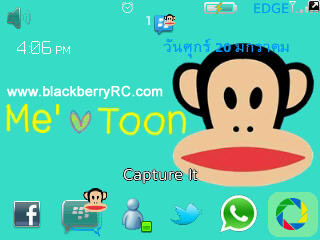 Faul frank blackberry 8520,9300 themes for free d
