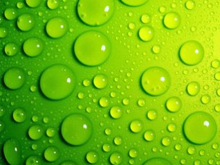 HD Green water drops FOR bb torch 9800 wallpapers
