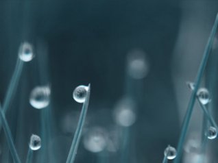 Drops for 320x240 hd walls