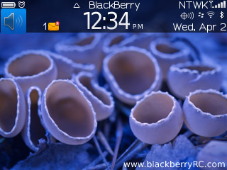 Chrome OS theme for blackberry 9300 theme