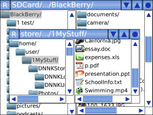 DNNK Multi-Window File Manager v1.0.0