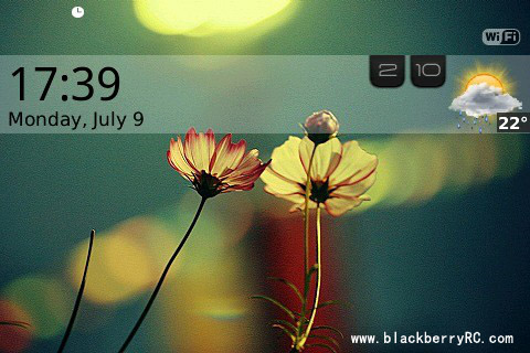 Bely theme for blackberry bold 9000 themes