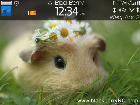 Guinea pig for bb 97xx,9650 bold theme