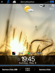 Attire for Blackberry Storm 2 95xx themes