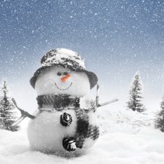 <b>Xmas snowman for 1280x1280 hd wallpaper</b>