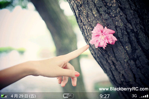 <b>Wallpaper Fans for blackberry 9000 bold theme</b>