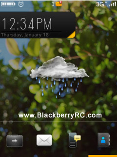 Hornet theme for blackberry 95xx storm model