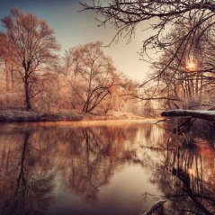 Autumnal Lake Tablet wallpaper