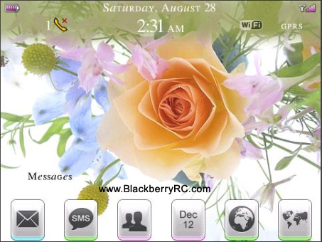 <b>Gentle Roses for blackberry bold 9000 themes</b>