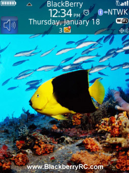 Under waterHD theme for torch 9800 os6