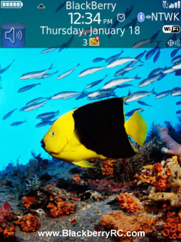 <b>Under waterHD theme for torch 9800 os6</b>