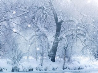 <b>Winter Snowfall wallpaper</b>