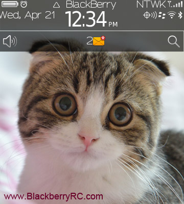 <b>Scottish Fold for BB 91xx,9670 themes</b>