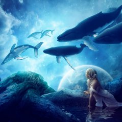 <b>Whales Dream for Blackberry Z15 wallpaper</b>