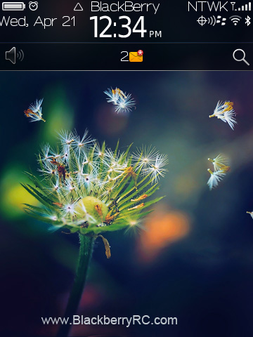 Dandelion 9800 torch theme