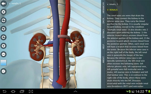 <b>Anatomy 3D Pro - Anatronica for blackberry 10 pho</b>