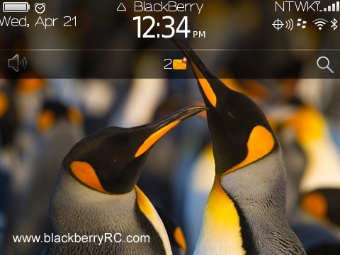 <b>Penguin blackberry theme</b>